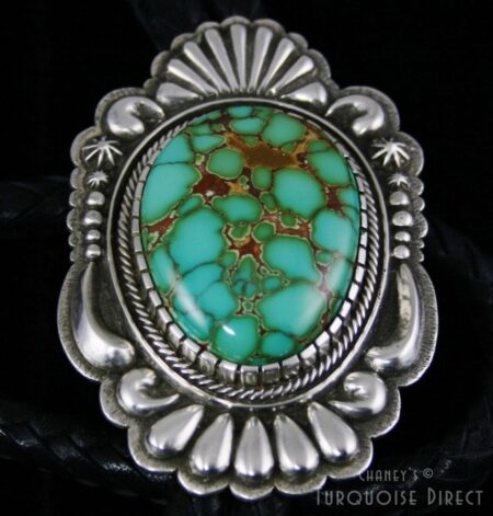 Thomas Jim Pilot Mountain Spiderweb Turquoise Bolo Tie