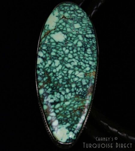 Sammie Kescoli Begay Peacock Spiderweb Variscite Ingot Bolo Tie